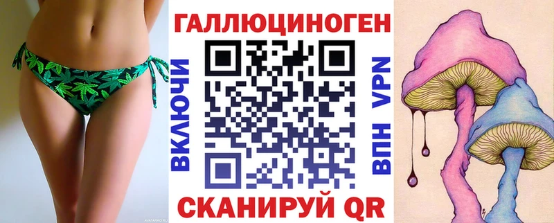 Галлюциногенные грибы Psilocybe Алупка